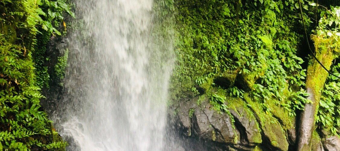 Interesting place where you can commune with nature. The water is so refreshing, especially after an almost hour hour walk from where you get off the public jeepney which I really prefer than getting in the place by car.