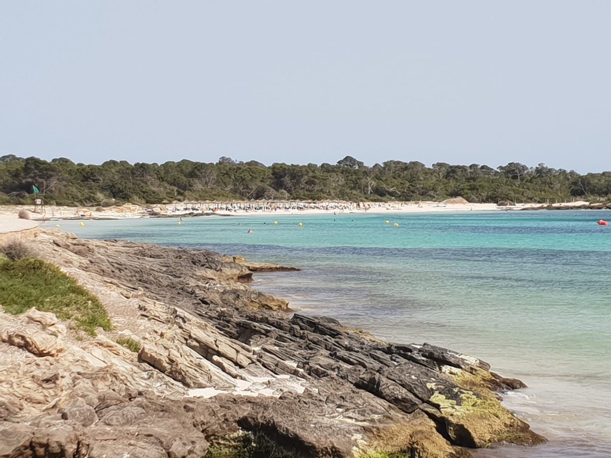 1200px x 900px - Platja d'es Carbo (Colonia de Sant Jordi) - All You Need to Know BEFORE You  Go