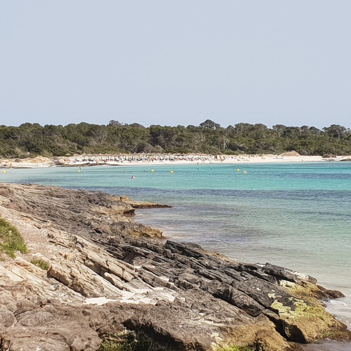 1200px x 1200px - Platja d'es Carbo (Colonia de Sant Jordi) - All You Need to Know BEFORE You  Go