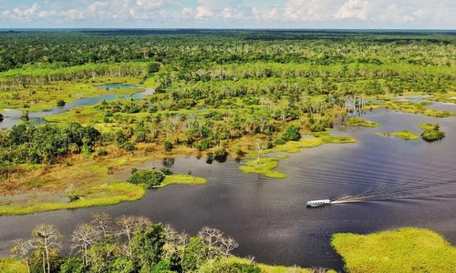 Para internarme en el corazón de la reserva Pacaya-Samiria tuve que contratar este barco rápido que veis en la foto con un motor de 200 caballos. Pacaya-Samiria es la segunda mayor reserva natural de Perú y una de las más extensas del Amazonas. Tiene 21.000 kilómetros cuadrados, como la provincia de Badajoz. Aún con ese motor tardé 12 horas de navegación en llegar a la zona  elegida.
