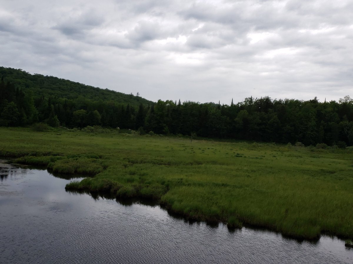 Adirondack Railroad (Utica) - Was Sie wissen MÜSSEN (2025)