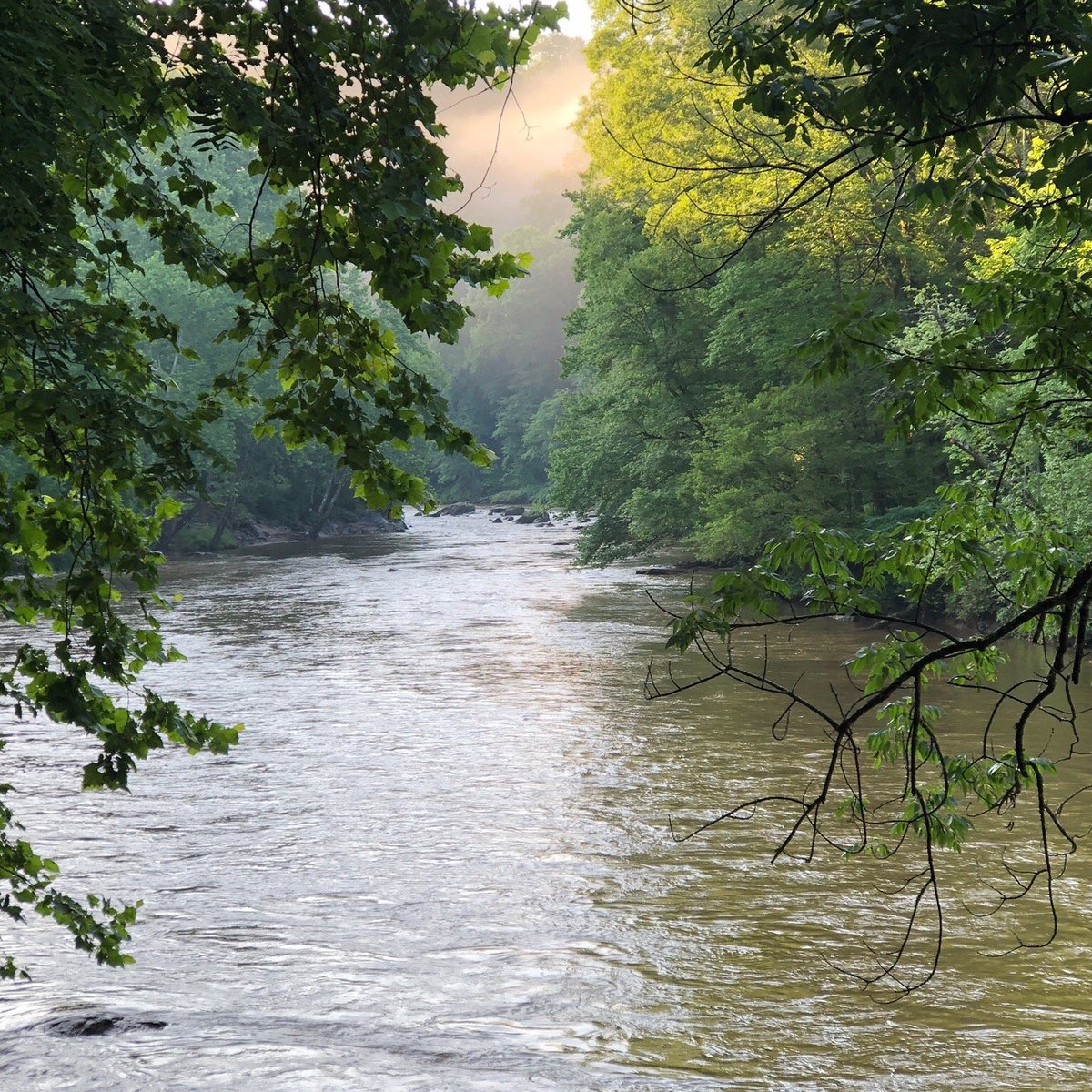 Tuckasegee River (Bryson City) 2022 Lo que se debe saber antes de viajar Tripadvisor