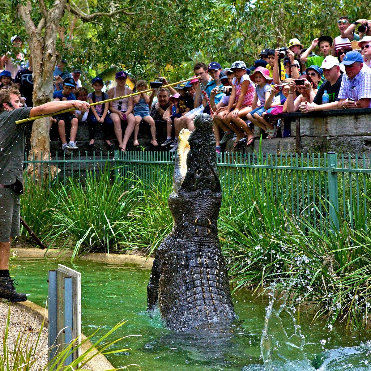 AUSTRALIAN REPTILE PARK (Gosford) 2022 Qué saber antes de ir Lo más