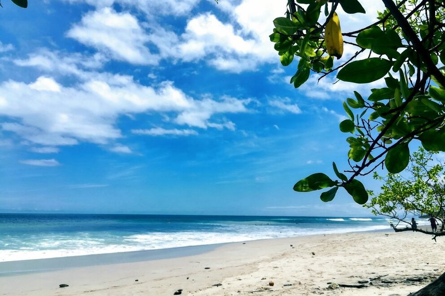 Playa Santa Teresa image