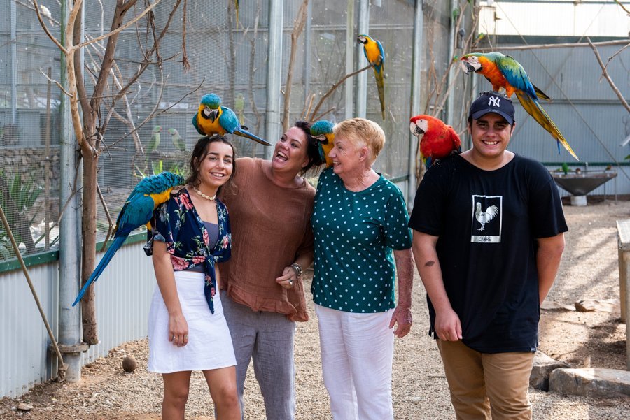 maleny bird world discount tickets