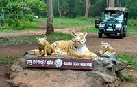 Bhadra Wildlife Sanctuary (Chikmagalur) - All You Need to Know BEFORE You Go