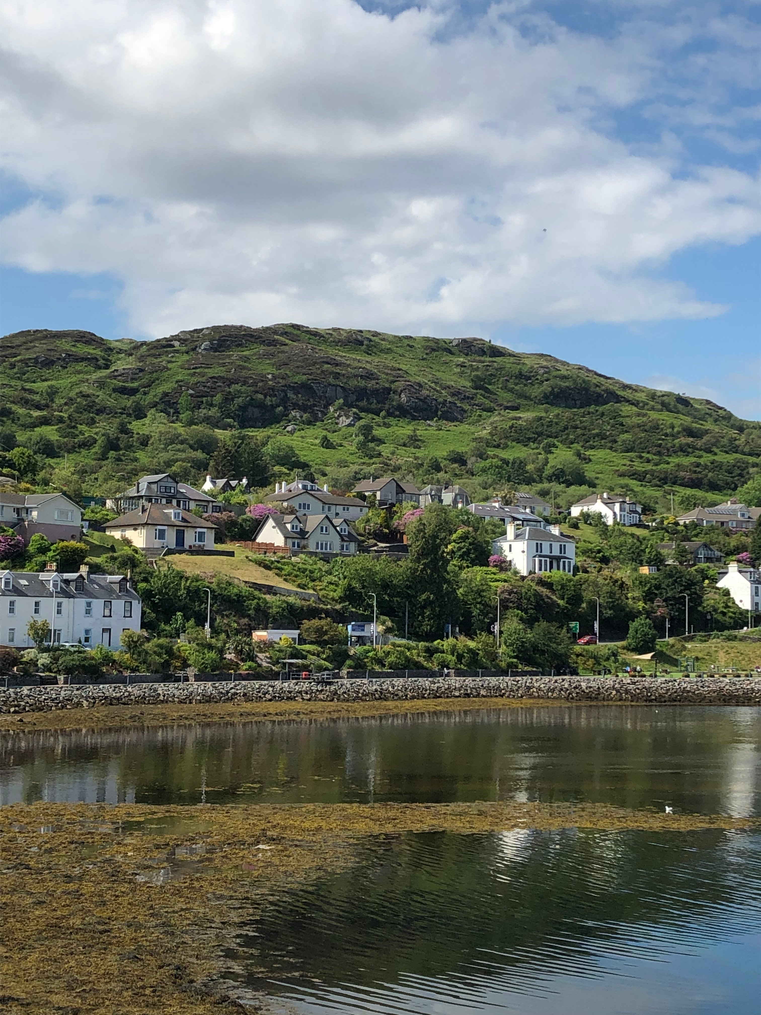 HARBOUR VIEW B&B - Prices & Specialty B&B Reviews (Tarbert, Scotland)