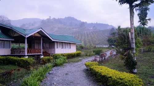 Dibang Valley Jungle Camp image