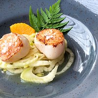 Scallops