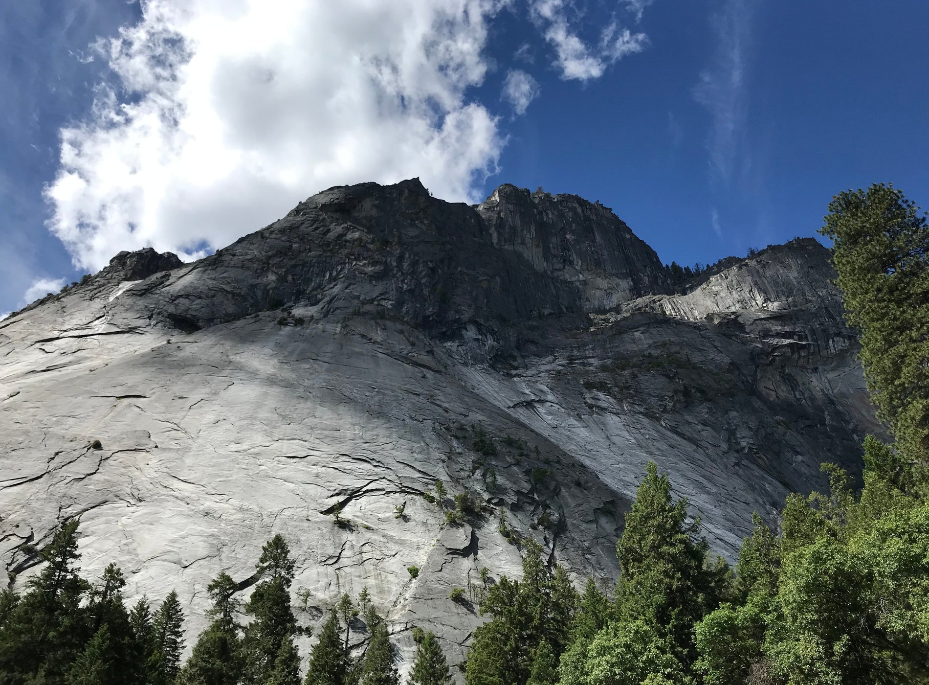 Upper Pines Campground by null