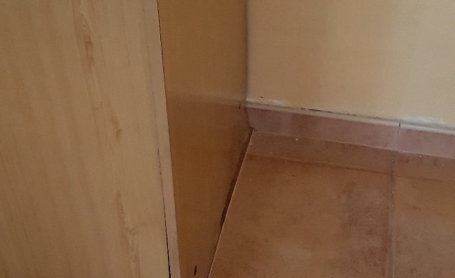 Casa Pepe