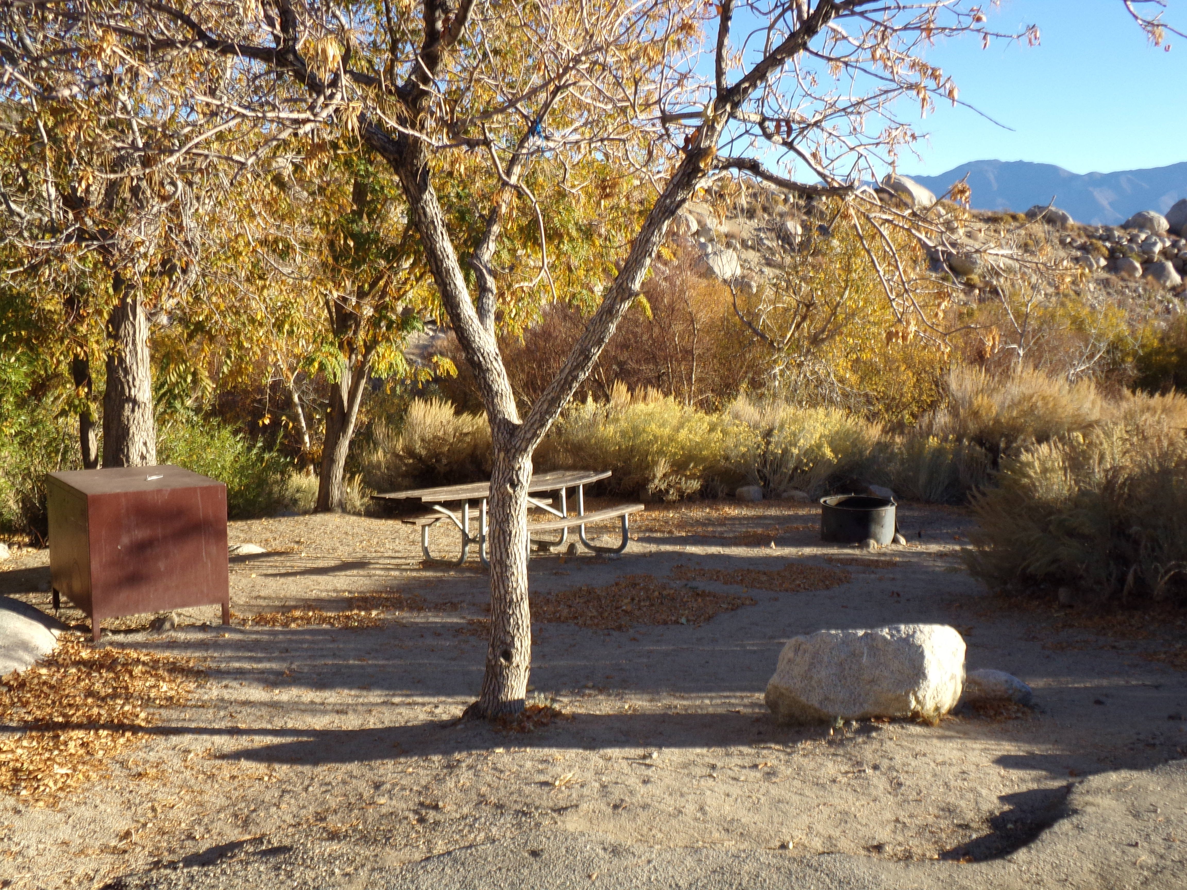 LONE PINE CAMPGROUND CALIF RNIA 27 Fotos E Avalia Es Tripadvisor   Lone Pine Campground 