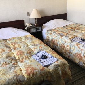 ツイン、割と広い