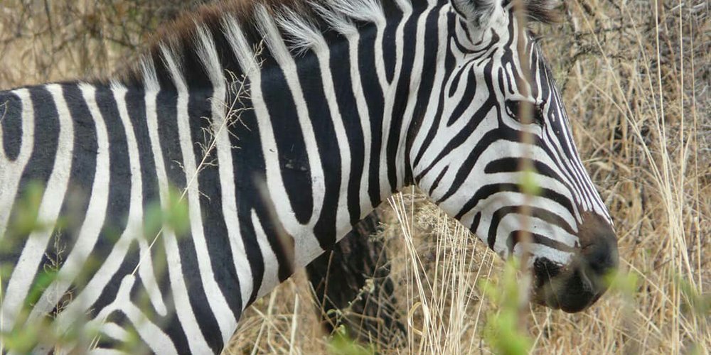 Rukwa Region, Tansania Tourismus in Rukwa Region Tripadvisor