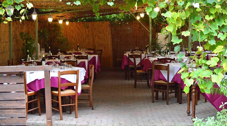 Giardino estivo 