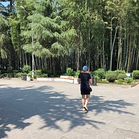 batumi boulevard