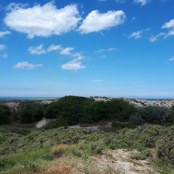 Plage Naturiste De Bredene Ce Quil Faut Savoir