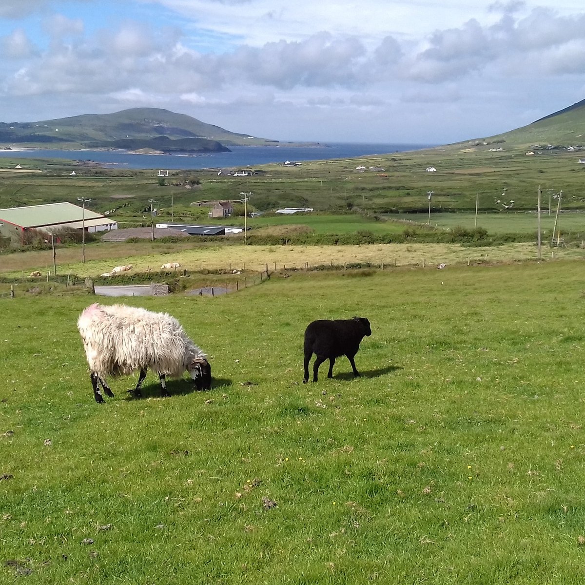 top of the rock viewing platform cahersiveen