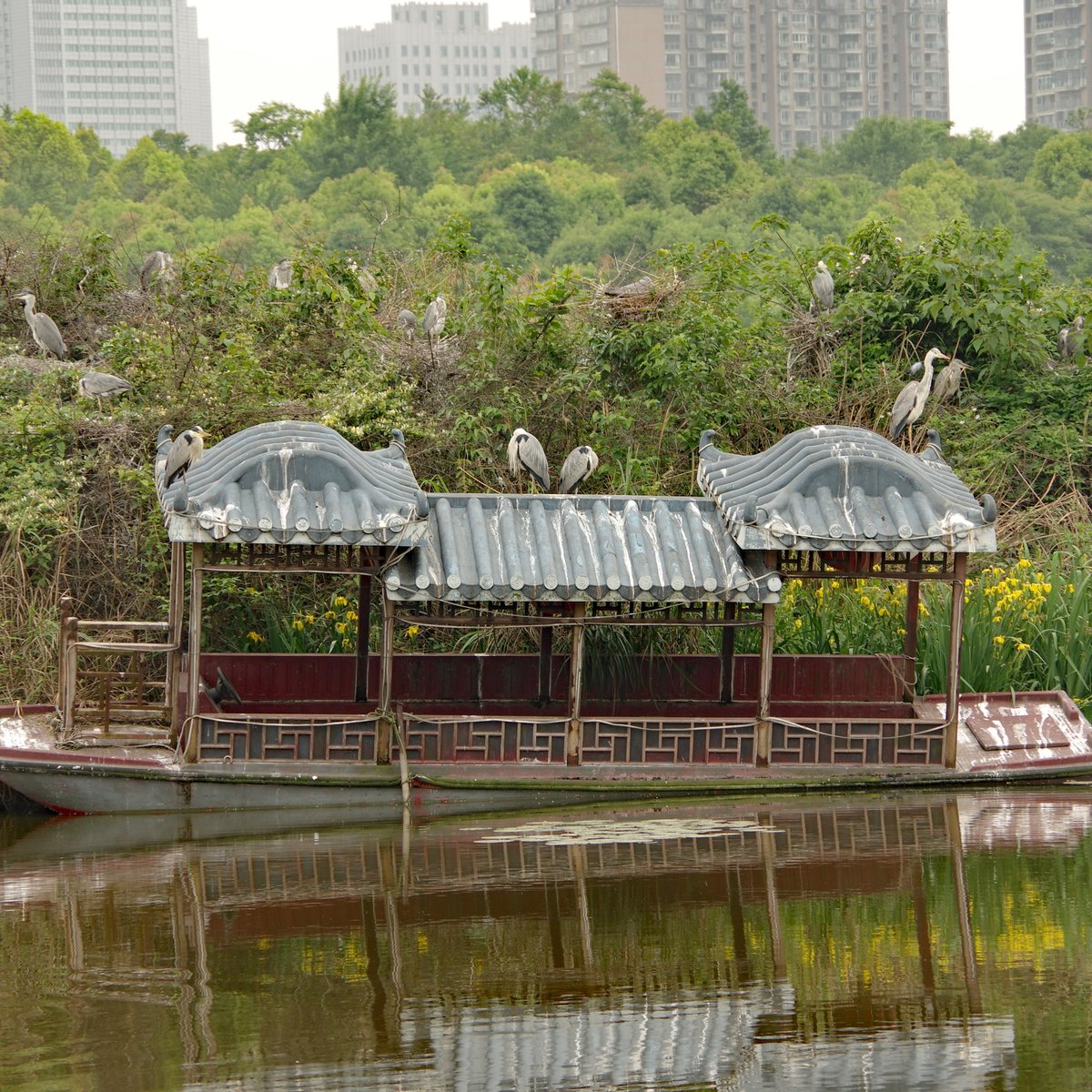 Guanshanhu Park, Гуйян: лучшие советы перед посещением - Tripadvisor