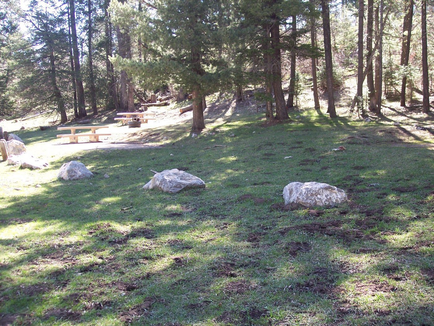 Escape to the Enchanted: New Mexico's Slide Group Campground