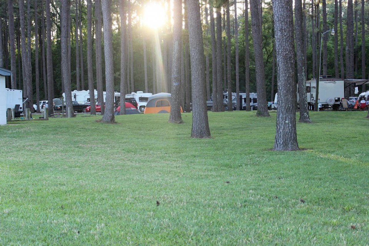 PICKWICK DAM CAMPGROUND Savannah TN Tarifs 2024 Mis Jour Et Avis   Pickwick Dam Campground 