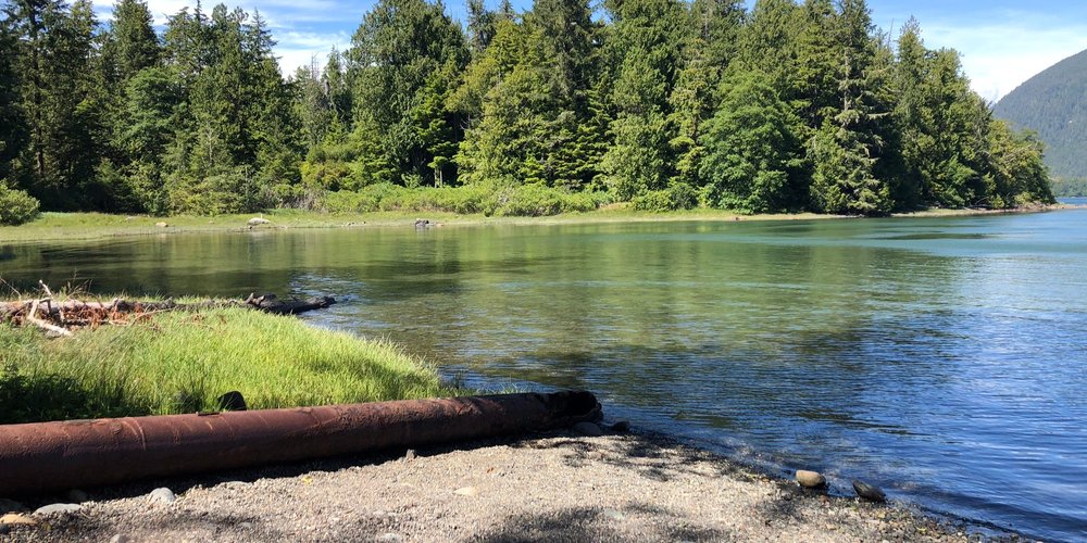 Tofino, Kanada Tourismus in Tofino Tripadvisor