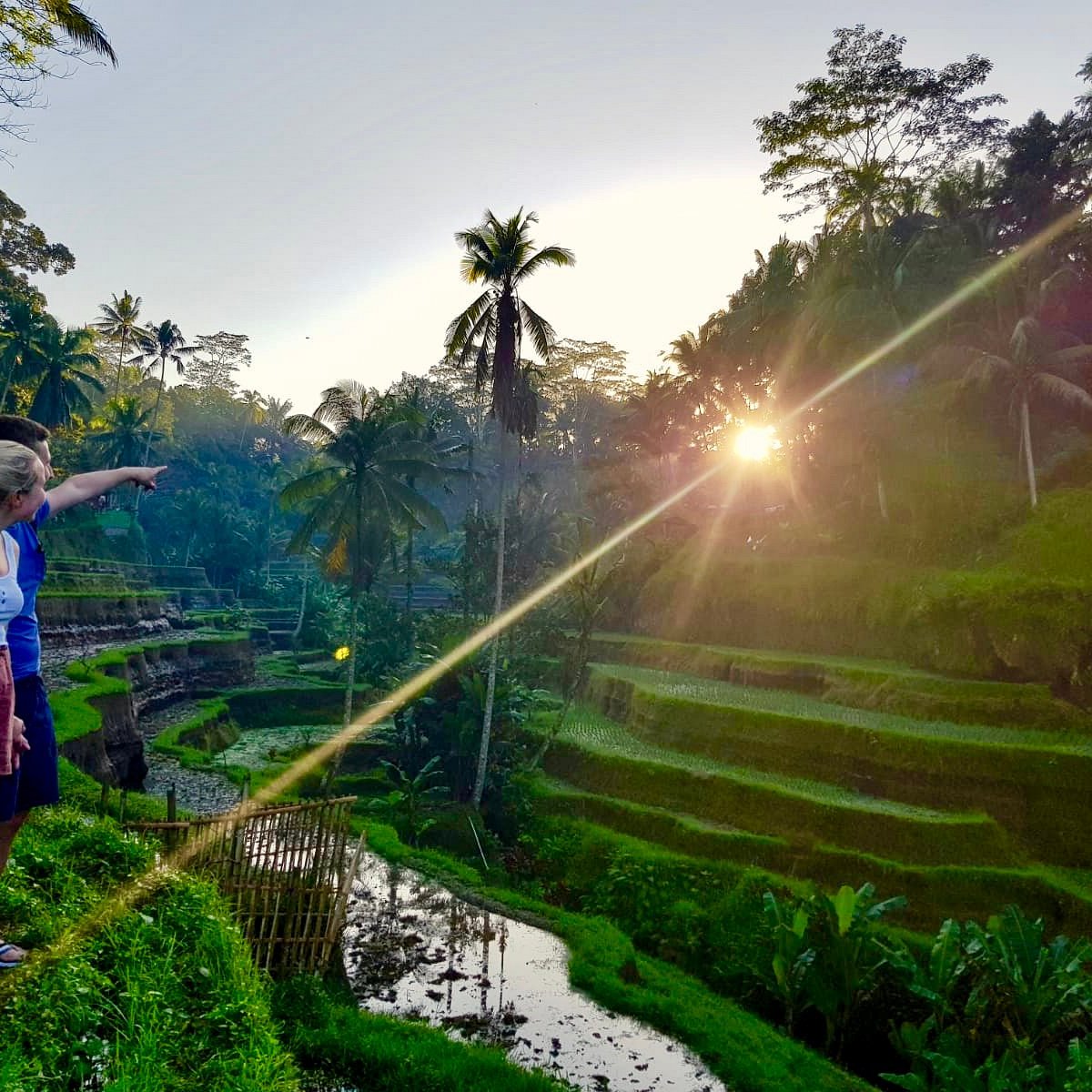 Bali Travel Expert (Ubud) - All You Need to Know BEFORE You Go