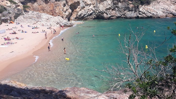 Imagen 3 de Cala Pola