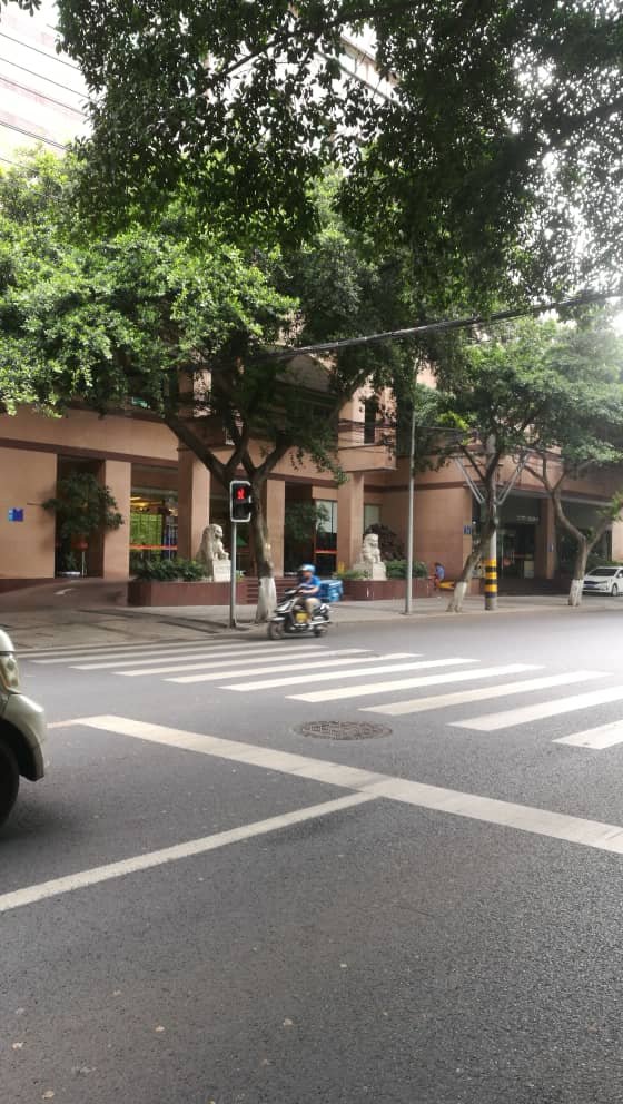 Hotel photo 16 of Chengdu Lazybones Hostel Templeside Poshpacker (Wenshuyuan).