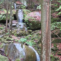 The falls