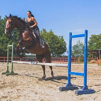 This place is not called Danube Paradise for nothing. It's an oasis of peace that offers beautiful nature, horse riding possibilities, local dishes and much more. Check it for yourself!