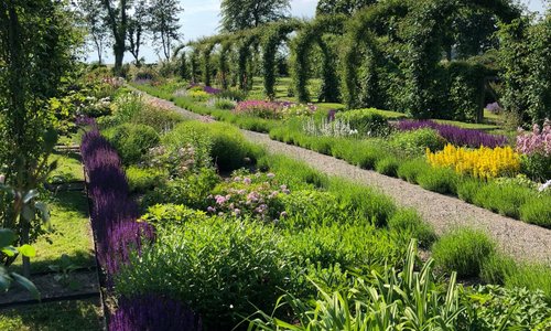 Wunderschöner Park mit seltenen Bäumen!