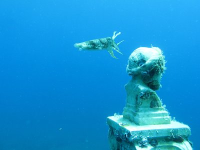 Museum Of Underwater Sculpture - All You Need to Know BEFORE You Go (2024)