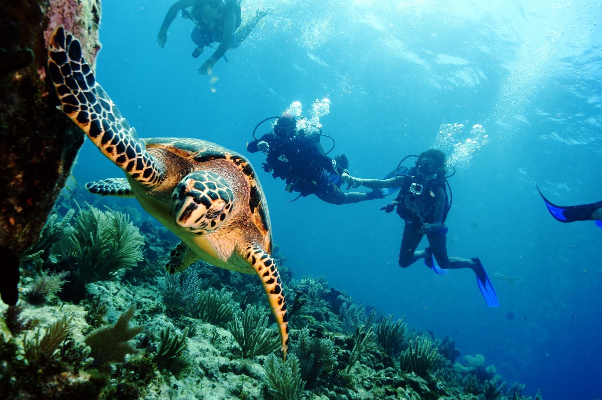 blue dive cancun