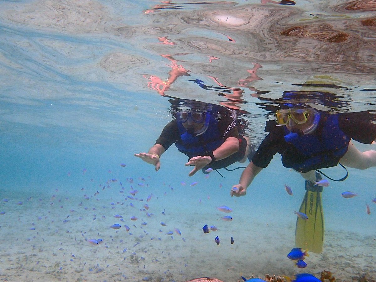 ocean safari guam