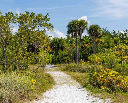 8 Cheap Things To Do In Fort Myers - Best Adventure Spots