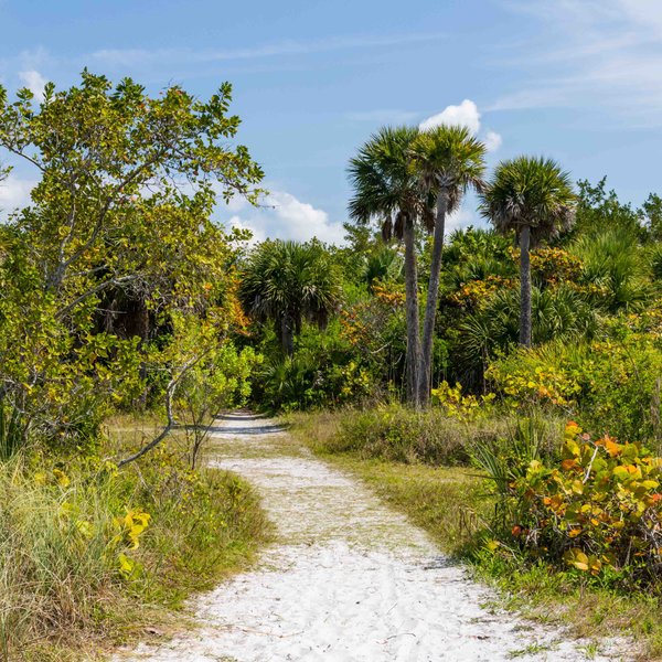 Matanzas Pass Preserve All You Need To Know Before You Go 2025