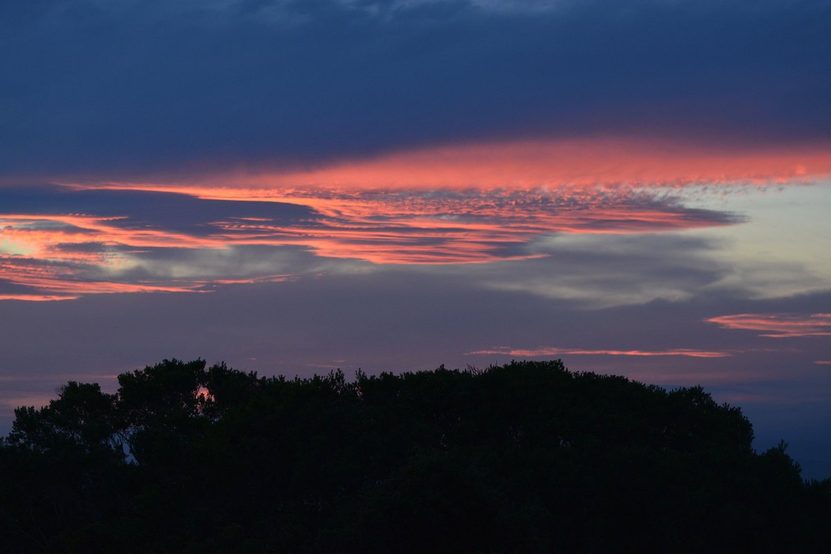 Addo Rest Camp Private Balconies: Pictures & Reviews - Tripadvisor