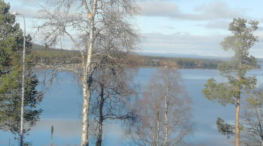 Utsikt från rum