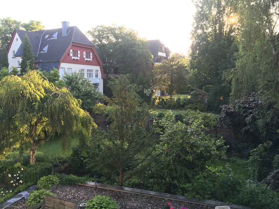 Groov Terrasse Cologne Menu Prices Restaurant Reviews Tripadvisor