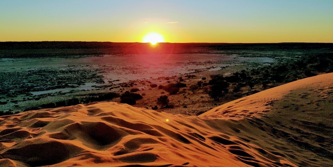 Birdsville Hotel by null