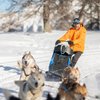 Mushing Addict
