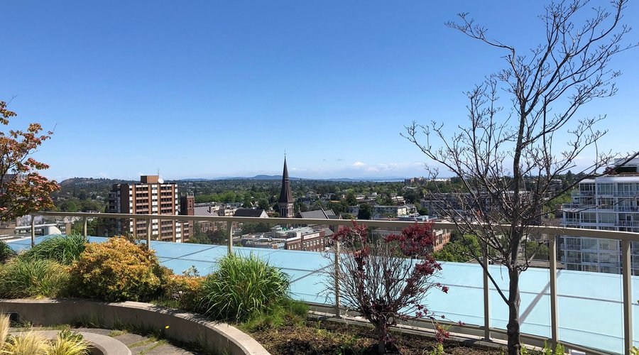 One of the views from the rooftop deck!!!