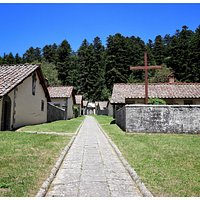 le celle