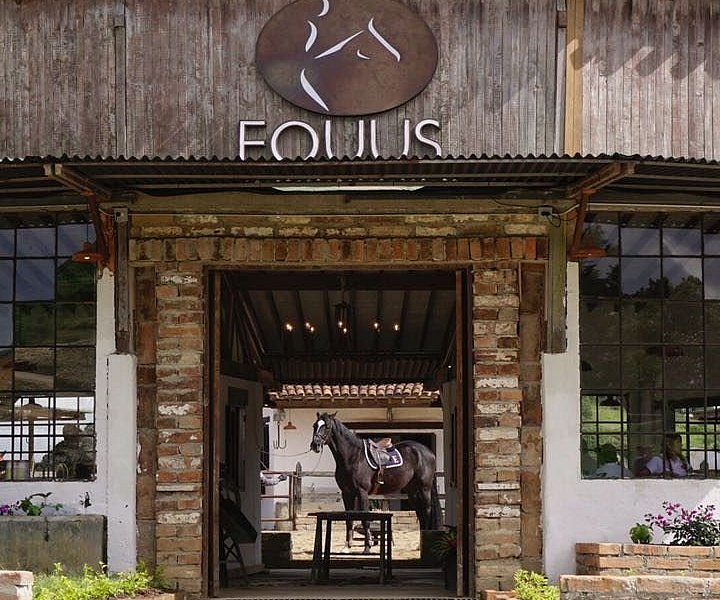 Equus image