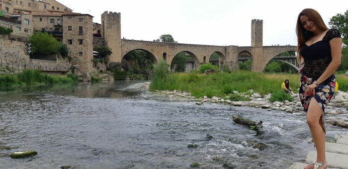 Imagen 6 de Puente de Besalú