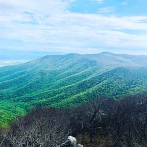 Old Rag Mountain via Weakley Hollow Fire Road, Virginia - 443 Reviews, Map