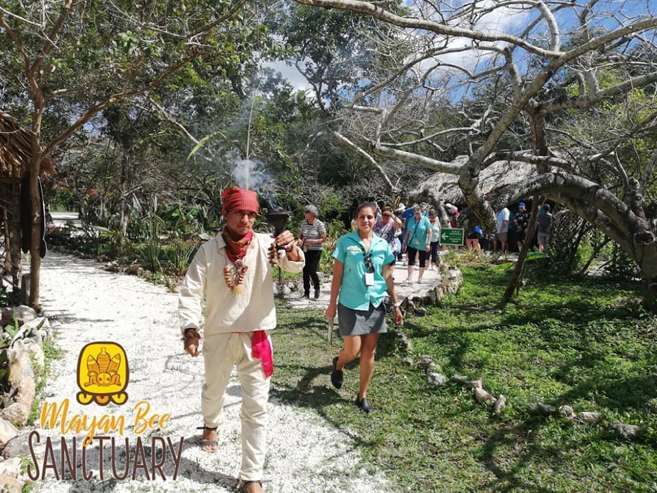 Introducir 72+ imagen bee sanctuary cozumel