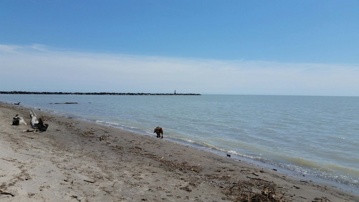 are dogs allowed at port burwell beach