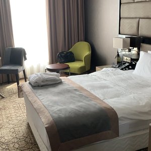 Wyndham Grand Tbilisi, hotel in Tbilisi